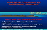 Abg- Biological Processes Ajmer