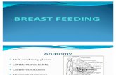 Breast Feeding-physiology of Lactation,Composition of Breast Milk,Colostrum,Initiation &