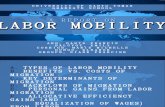 Labor Mobility Report