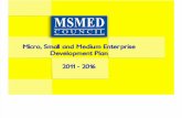 MSMED Plan Final)