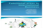 Functional Areas of IB