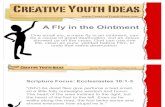 Youth sermon ideas: A Fly in the Ointment