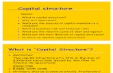Capital Structure English