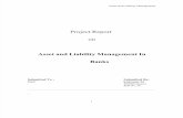 49680836 Asset and Liability Management in Banks