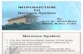 Nervous System C 45