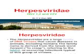 Herpes Viridae HSV 1 and 2  VZV