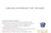 6 Development of Heart - 1