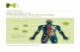 MILLIPLEX MAP Inflammation and Immunology