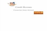 Credit Bureau Testing