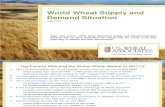 2011 July - World Wheat Supply Demand Situation