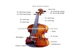 Violin Basico