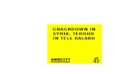 Crackdown in Syria: Terror in Tell Kalakh - Amnesty International report