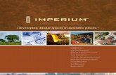 Imperium Holdings, LP Company Brochure