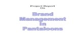 Brand Mgmt in Pantloons