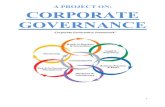 Corporate Governanc