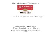 Condensed Theology Lecture 17