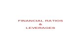 Financial Ratio & Leverage