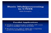 Using Multi Processing in Unix