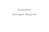 TimePro Sample Reports