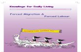 Forced Migrant Ion & Labour Vol 11 4 Web