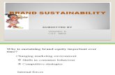Brand Sustainability
