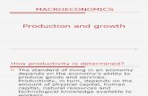 Macro Production Growth