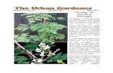 The Urban Gardener 30