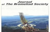 Journal of the Bromeliad Society 1999 Mar-Apr