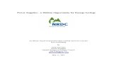 NRDC Power Supply Report