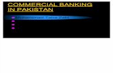 39260534 Commercial Banking Muz Final