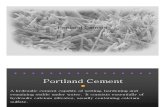 Portland Cement (Detailed Study)