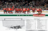 2010-11 MN Wild Season Summary