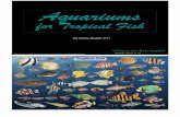 Aquariums - Tropical Fish
