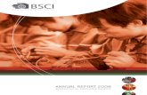 Bsci Annual Report 2008