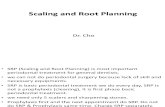 Scalling and Root Planning