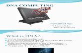 Seminar on Dna Computing 2011