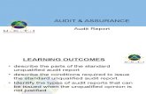 Audit Report - LECT 5
