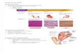 Handouts - Musculary System Sp11