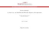 A Survey of Medicaid Brain Injury Programs