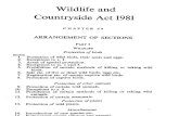 Wildlife and Countryside Act 1981