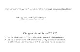 An overview of understanding organization