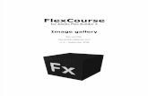 FlexCourse - Image gallery EN - v1.0