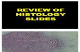Histo Slides Volume III