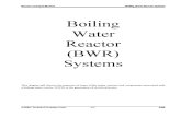 Nuclear Power Plant Information: Boiling Water Reactor (BWR)
