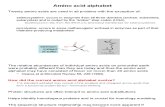 Amino Acid Alphabet