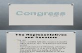 Ch. 13 - Congress (Overview)