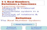 Lecture 1.1 Real No , Relation & Functions
