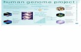 human_genome poster