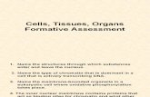 CTO 17 Form Assess Qus0910