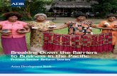 Breaking Down the Barriers to Business in the Pacific: Private Sector Reform Stories